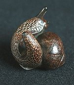 Ebony Snail